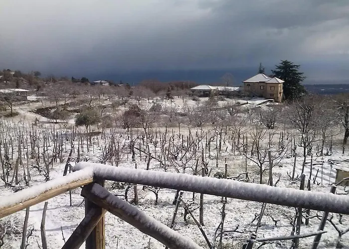 Villa Etna Masi\'