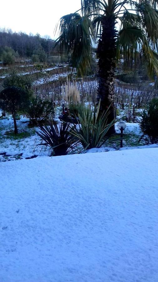 Holiday home Etna Masi'