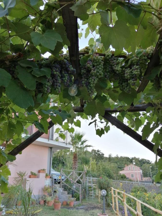 Etna Masi' Milo