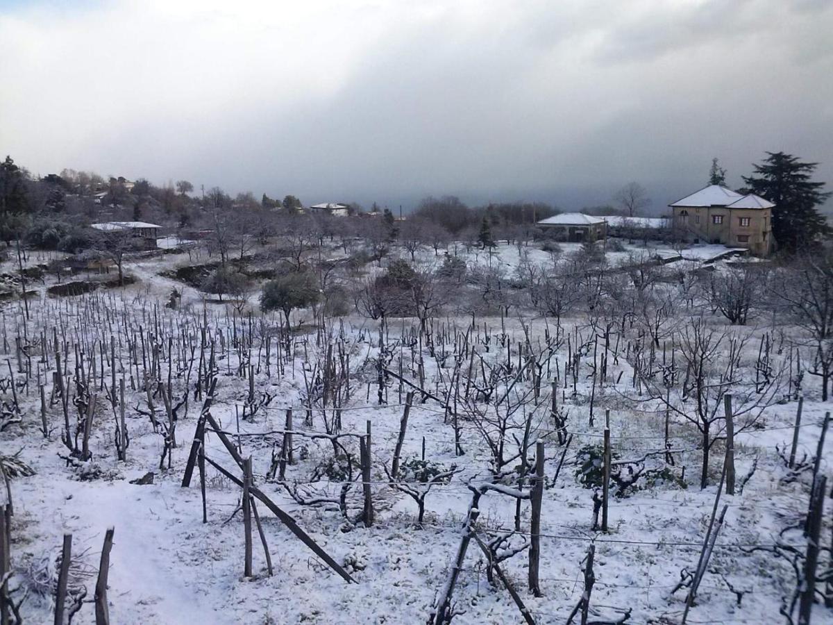 Etna Masi' Holiday home