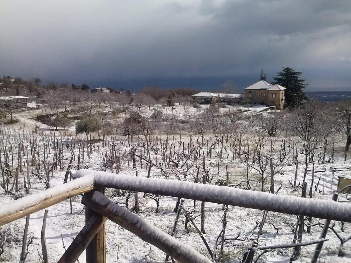 Etna Masi' Holiday home