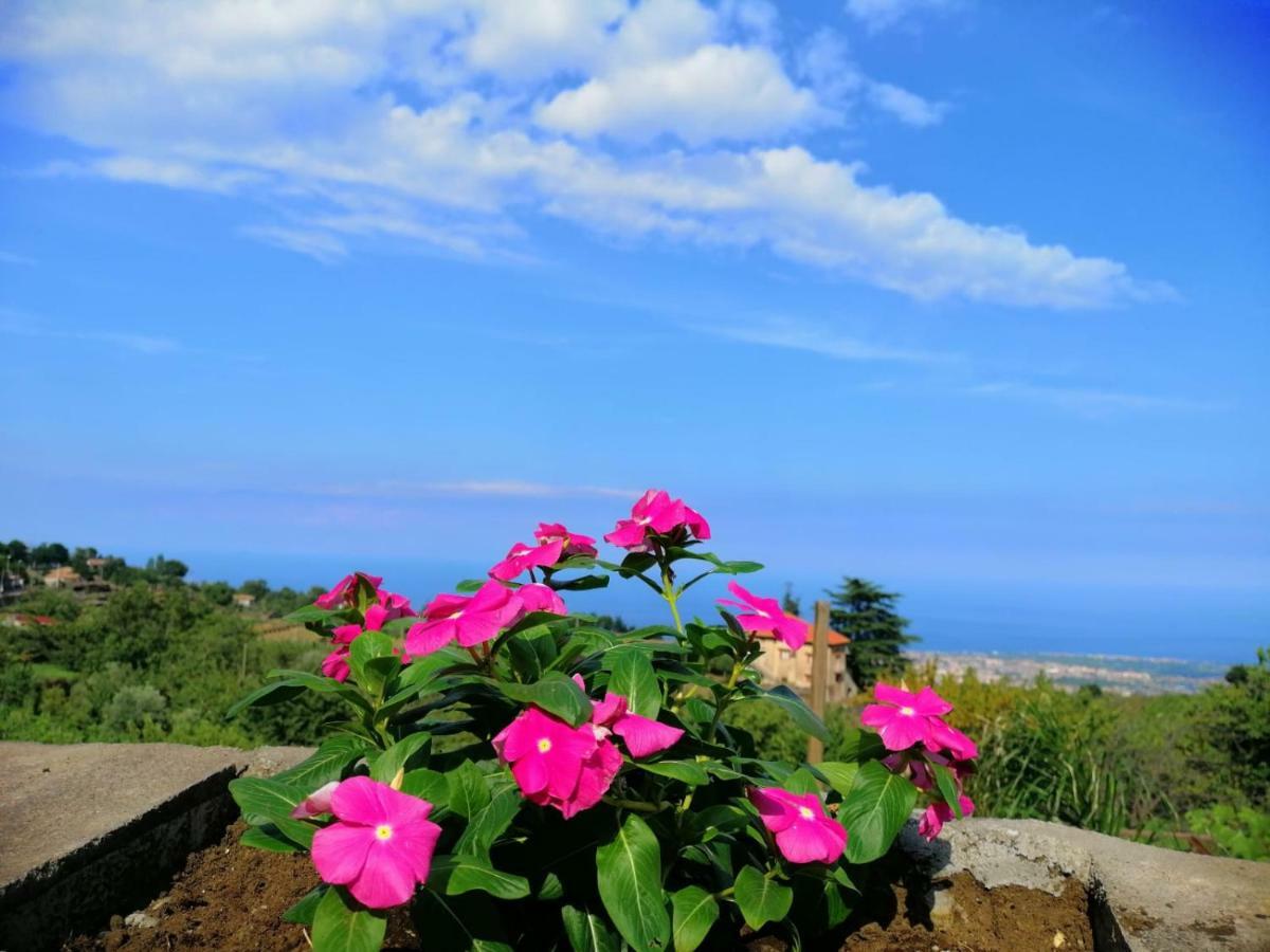 Etna Masi' Holiday home Milo